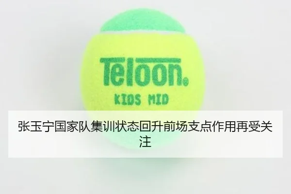 张玉宁国家队集训状态回升前场支点作用再受关注 - hth